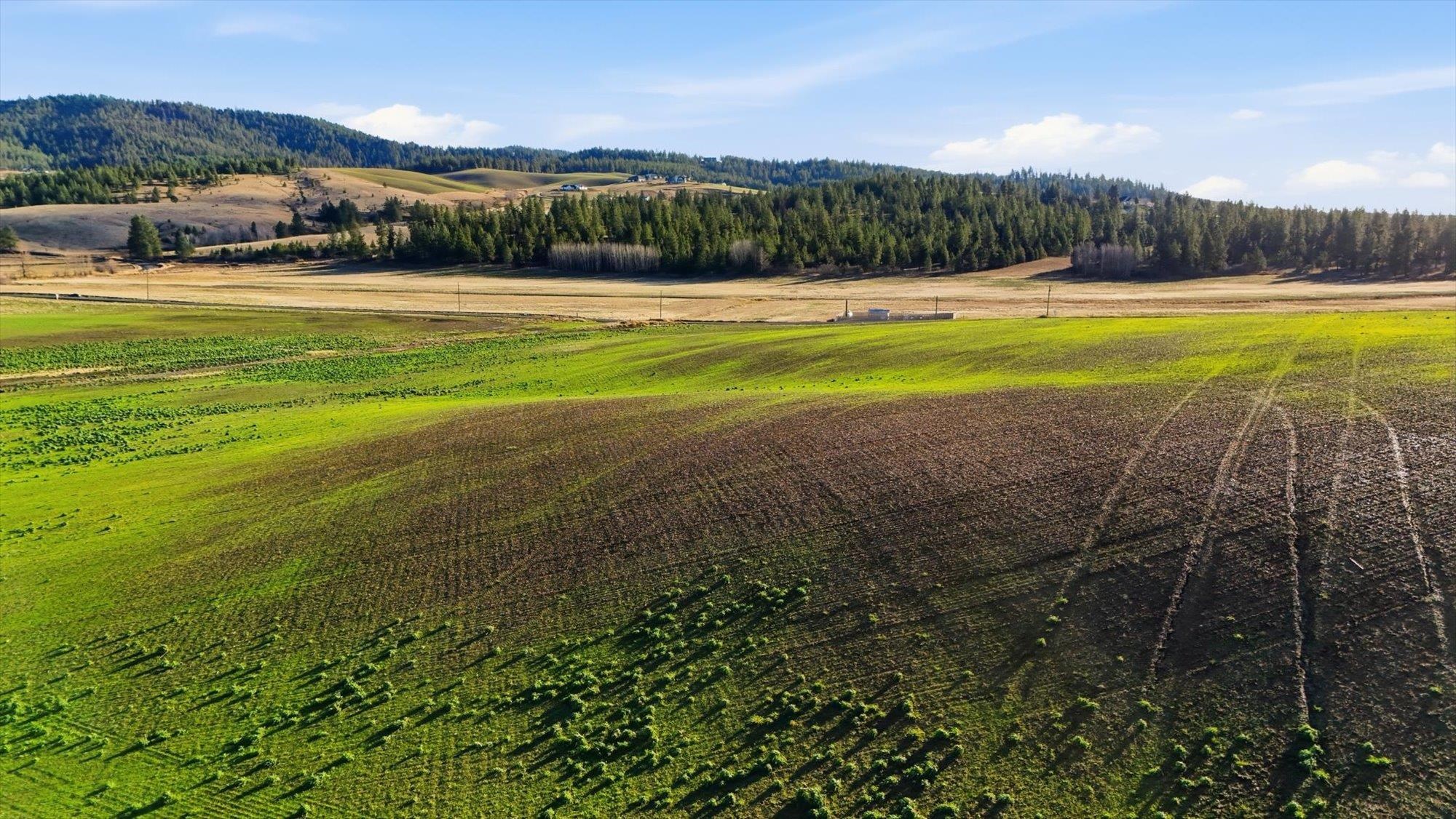 15007 East Belmont Road Mica, WA 99023 - Photo 3 of 25