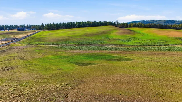 $249,500 | 15007 East Belmont Road, Mica, WA 99023