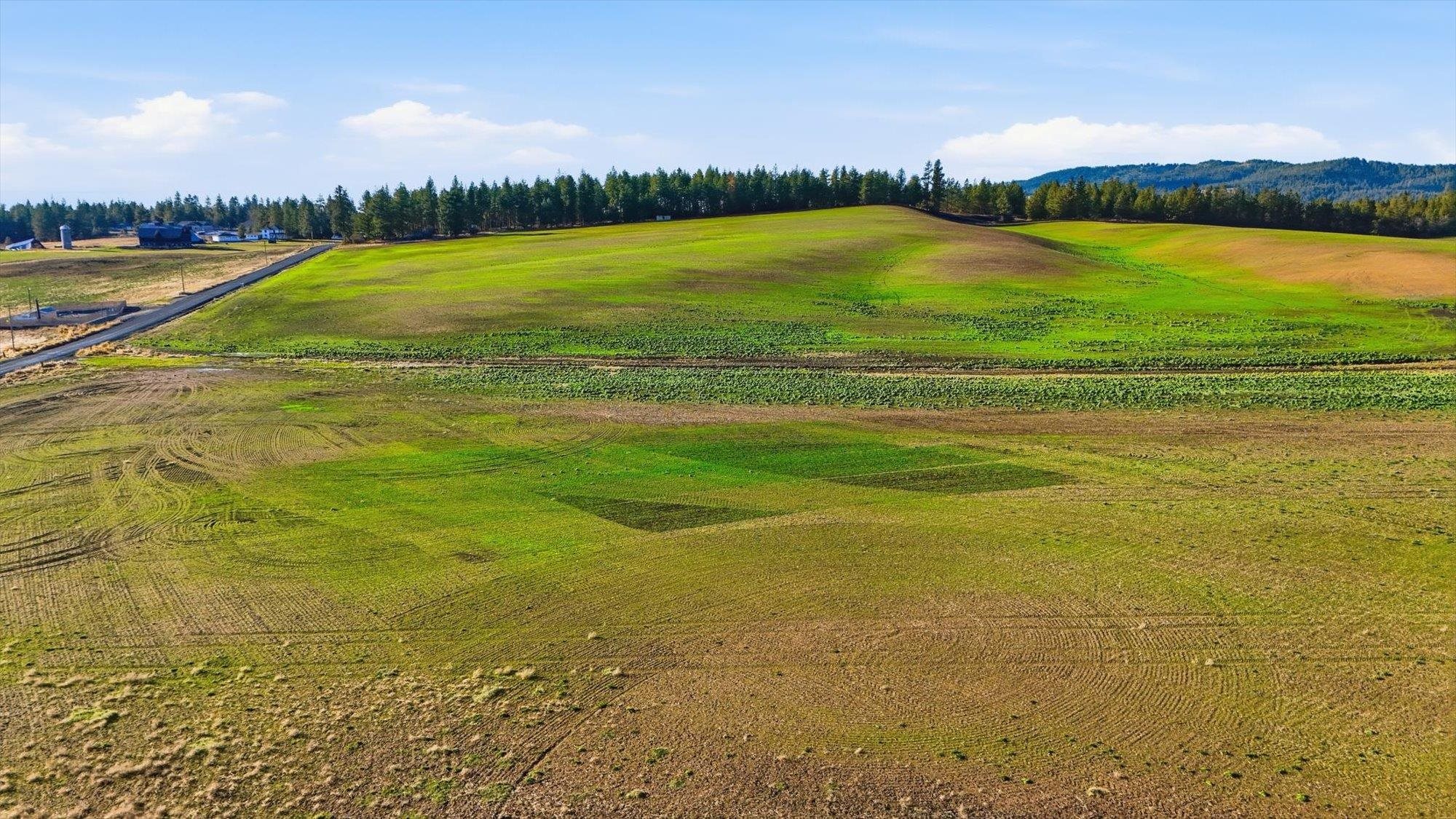 15007 East Belmont Road Mica, WA 99023 - Photo 5 of 25