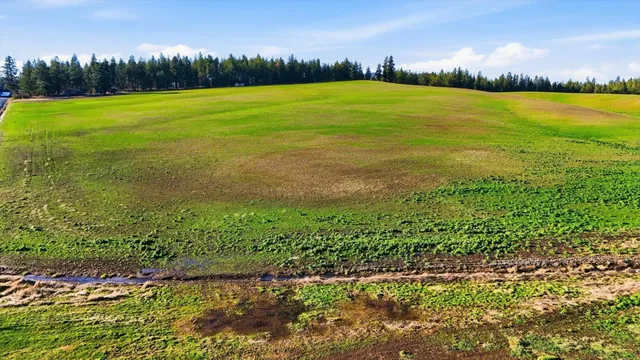 $249,500 | 15007 East Belmont Road, Mica, WA 99023