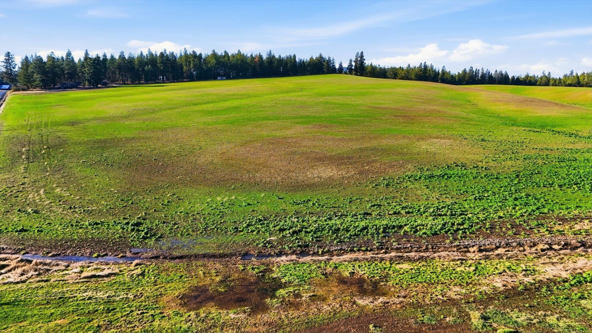 15007 East Belmont Road Mica, WA 99023 - Photo 7 of 25