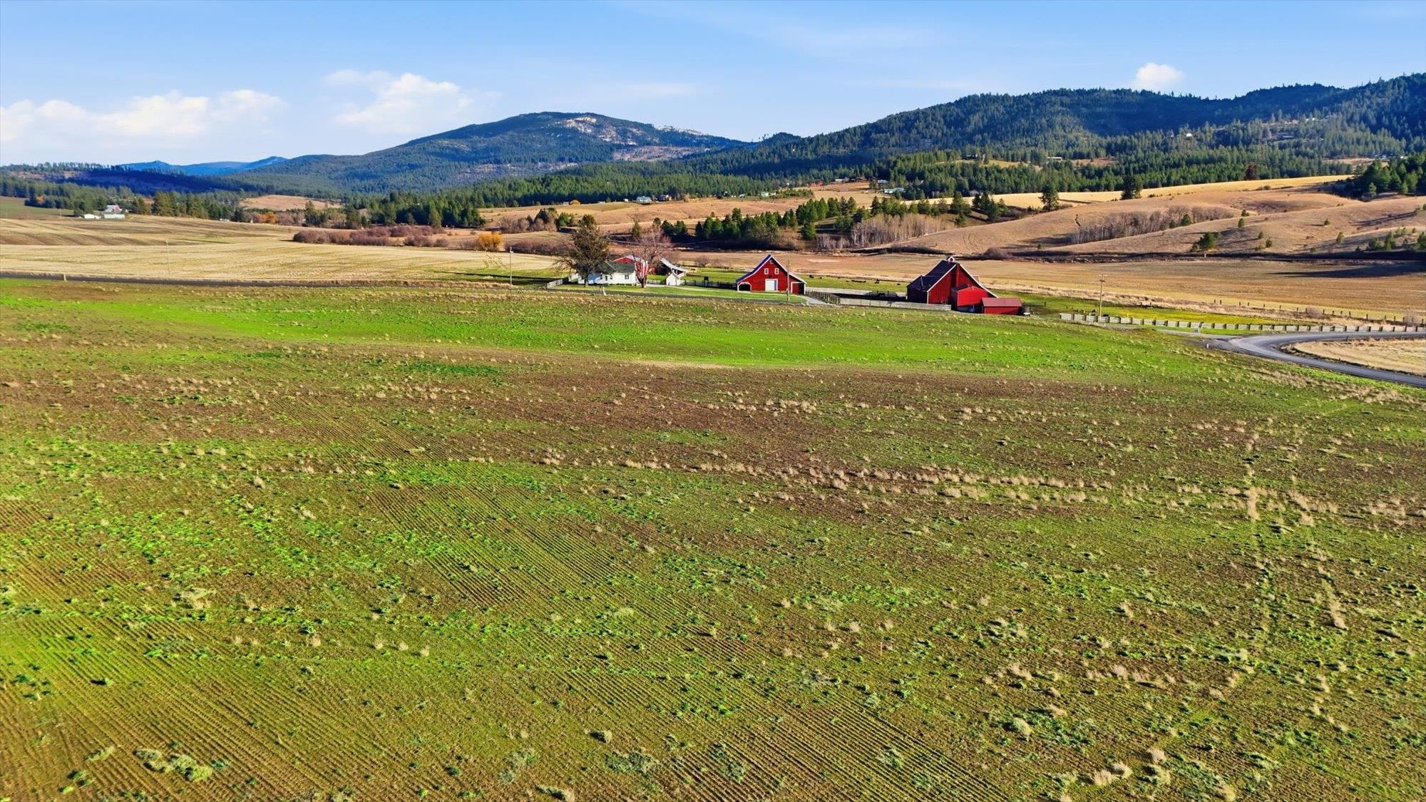 15007 East Belmont Road Mica, WA 99023 - Photo 8 of 25