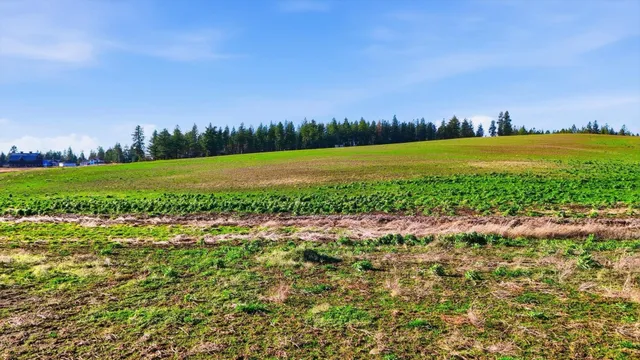 $249,500 | 15007 East Belmont Road, Mica, WA 99023