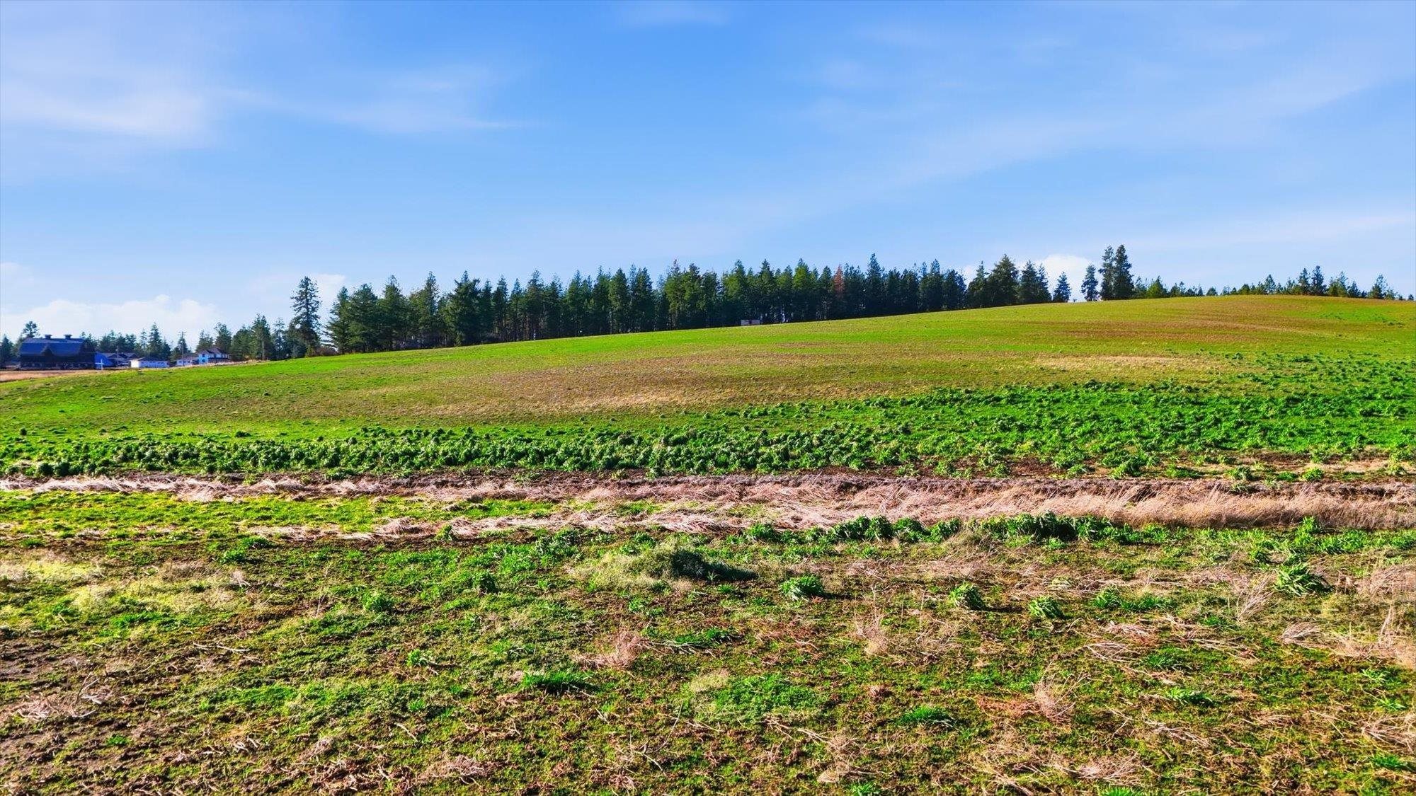 15007 East Belmont Road Mica, WA 99023 - Photo 10 of 25