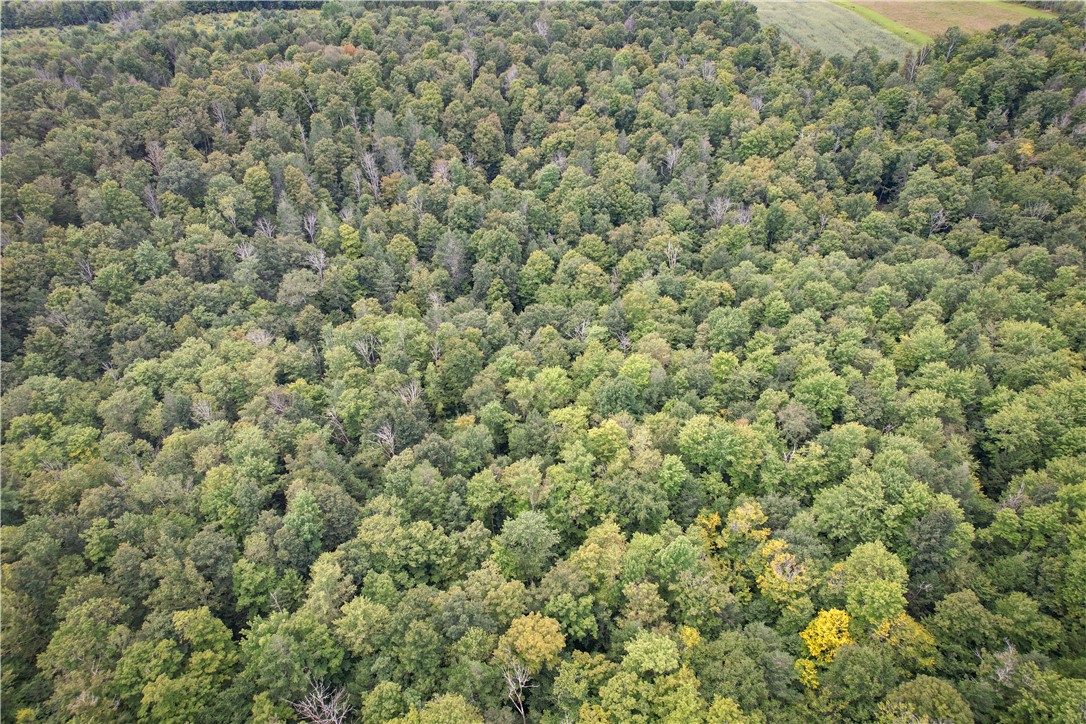Hill Road Spencer, NY 14883 - Photo 15 of 48