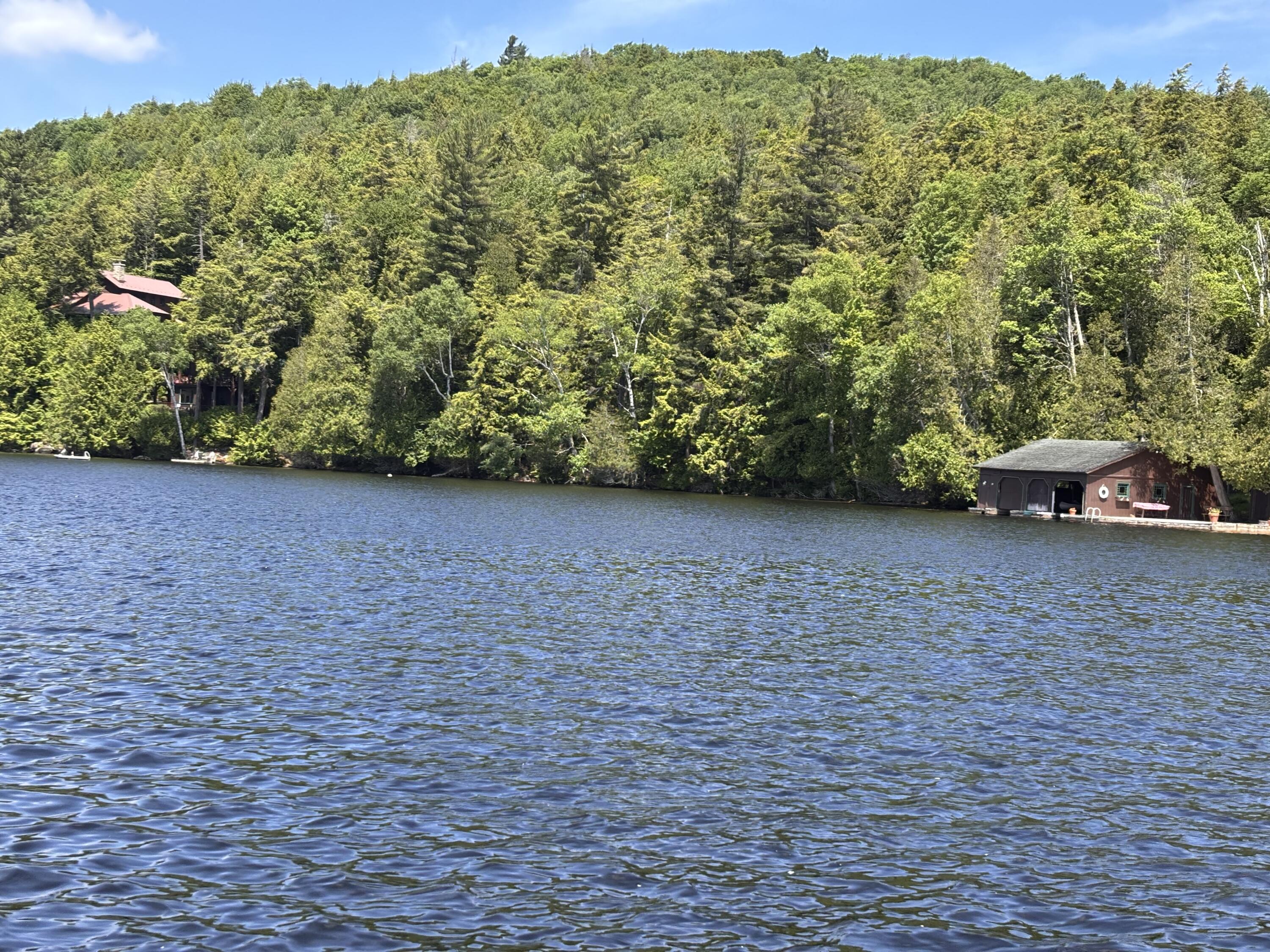 0 Gilpin Bay Road Tupper Lake, NY 12986 - Photo 6 of 6 IMG_8876
