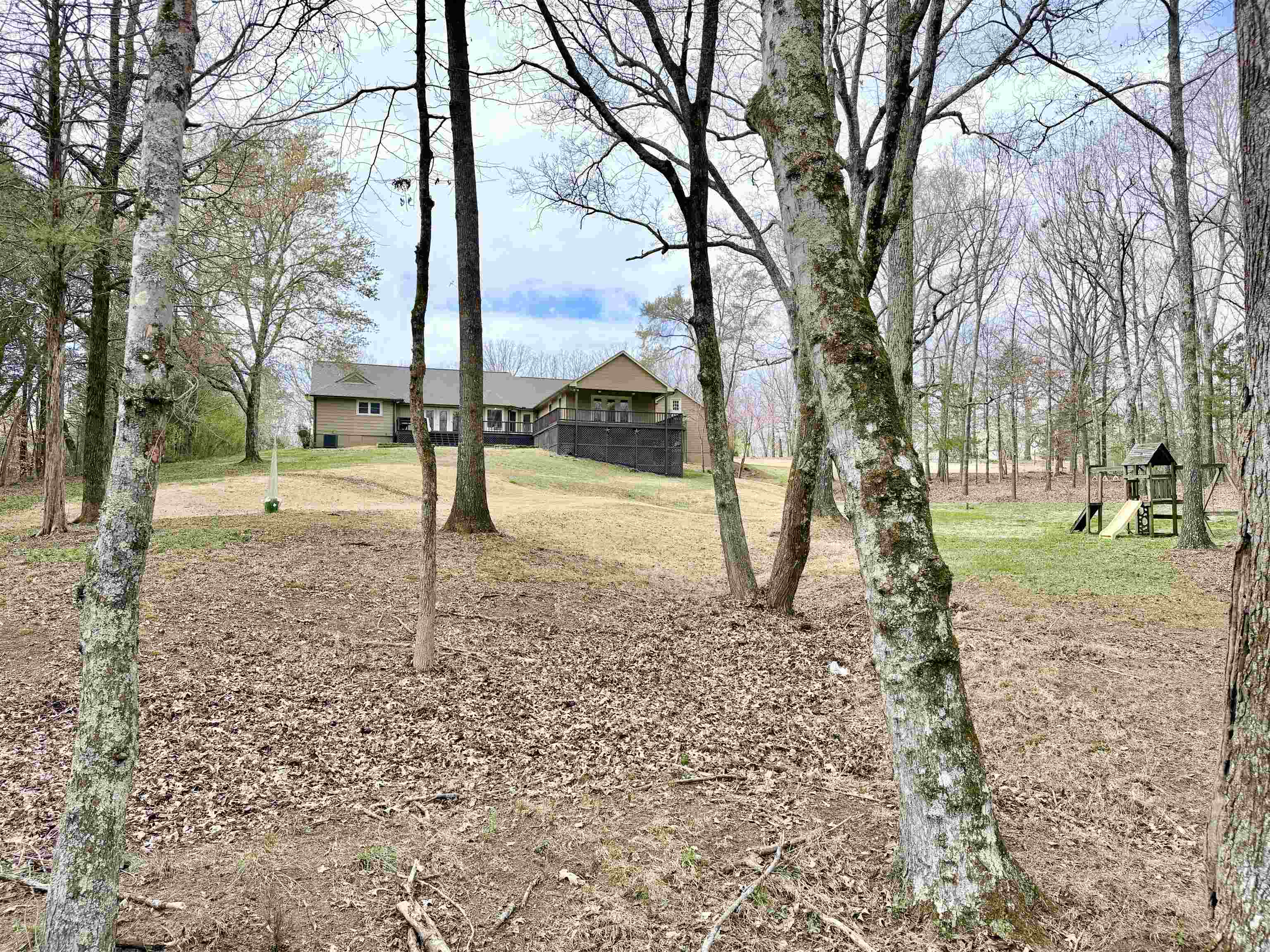 955 Country Club Road Somerville, TN 38068 - Photo 35 of 40 a view of a yard with a tree