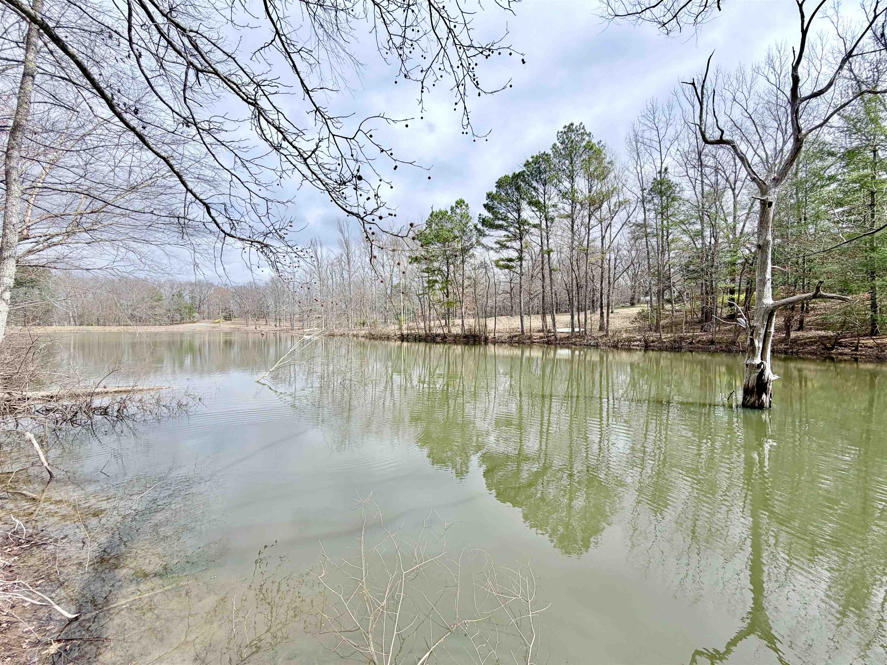 955 Country Club Road Somerville, TN 38068 - Photo 37 of 40 a view of lake
