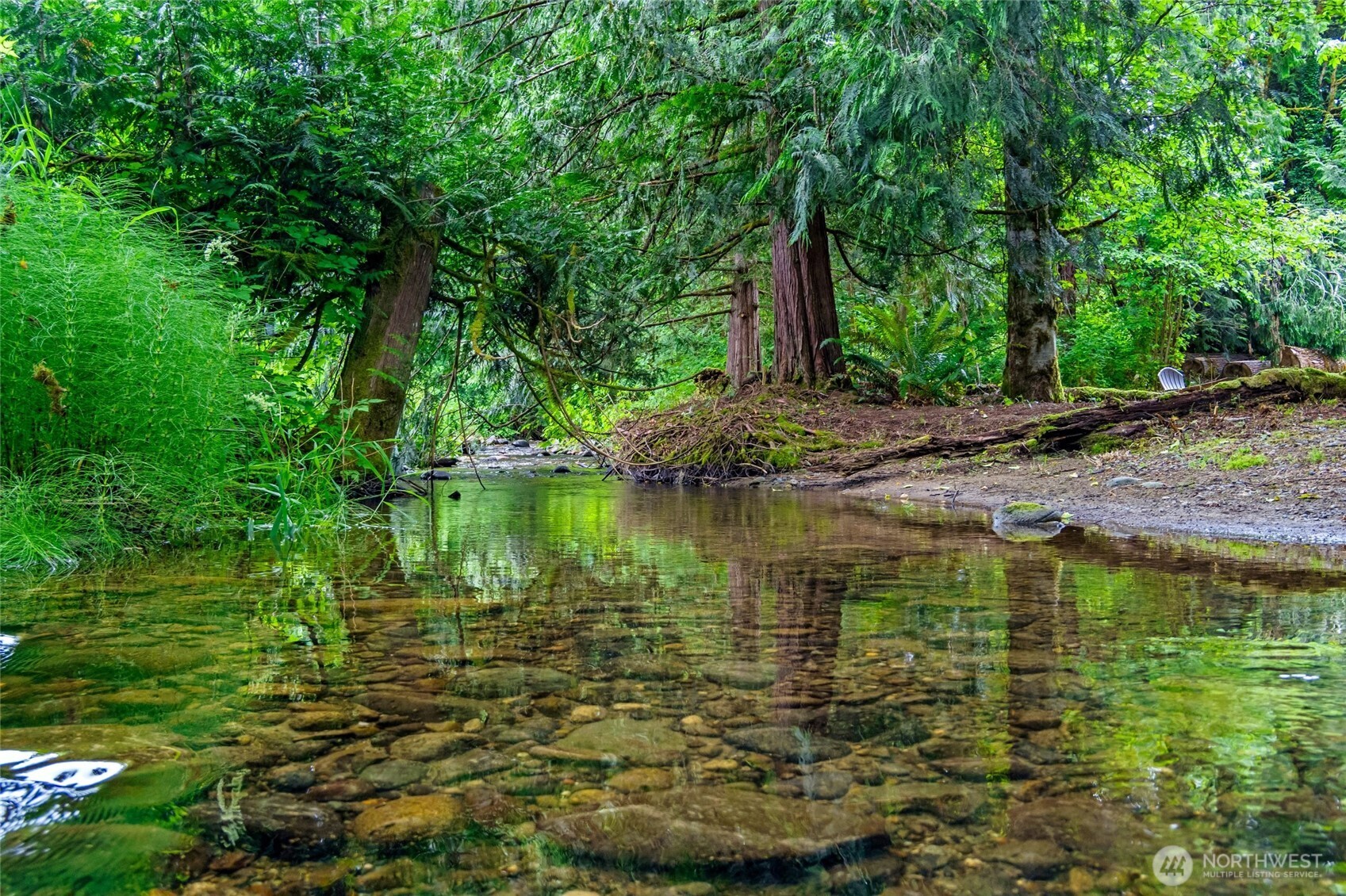 23606 Tiger Mountain Road Southeast Issaquah, WA 98027 - Photo 3 of 39