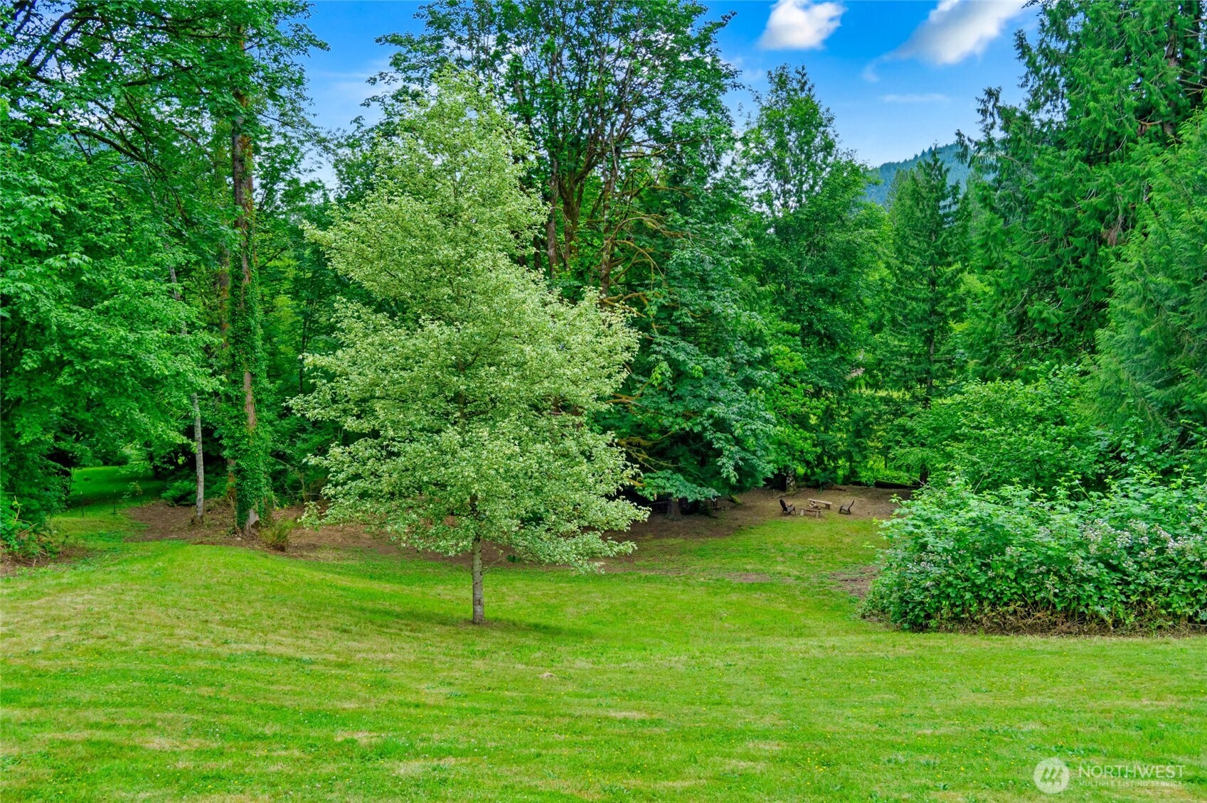 23606 Tiger Mountain Road Southeast Issaquah, WA 98027 - Photo 33 of 39 a green field with lots of bushes