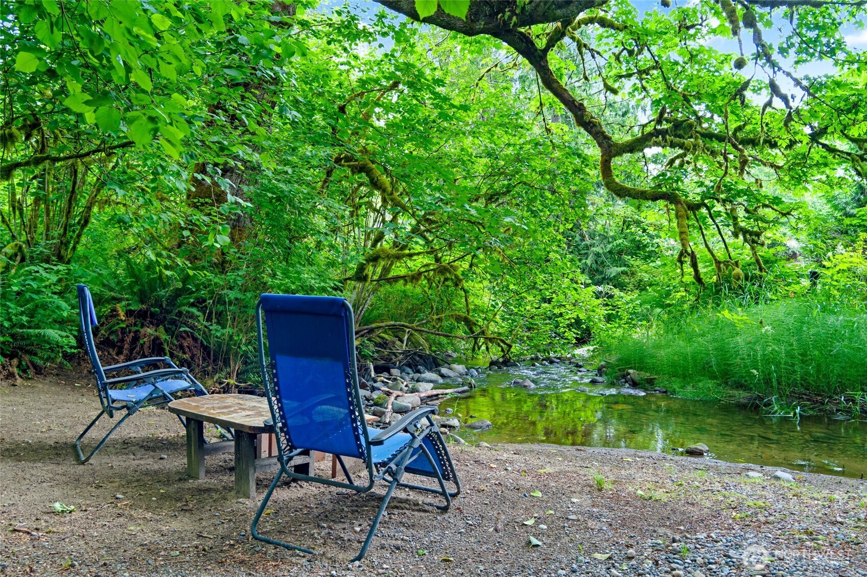 23606 Tiger Mountain Road Southeast Issaquah, WA 98027 - Photo 34 of 39 a view of a chairs in a backyard