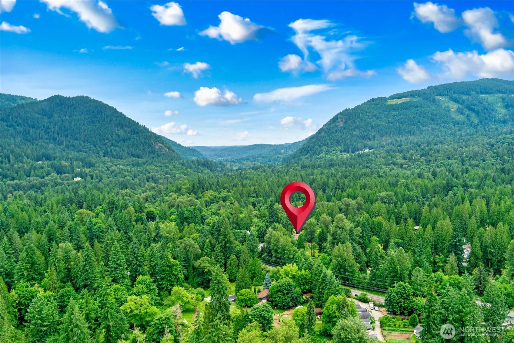23606 Tiger Mountain Road Southeast Issaquah, WA 98027 - Photo 35 of 39 a view of a tree in a yard