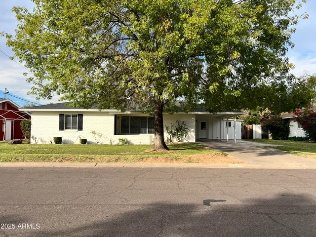 a house that has a tree in front of it