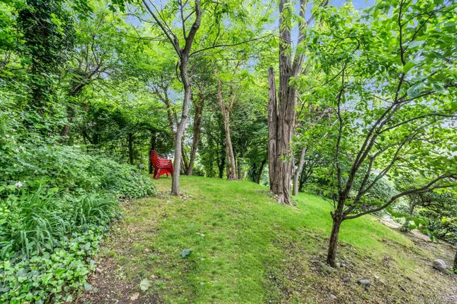 a view of yard with green space