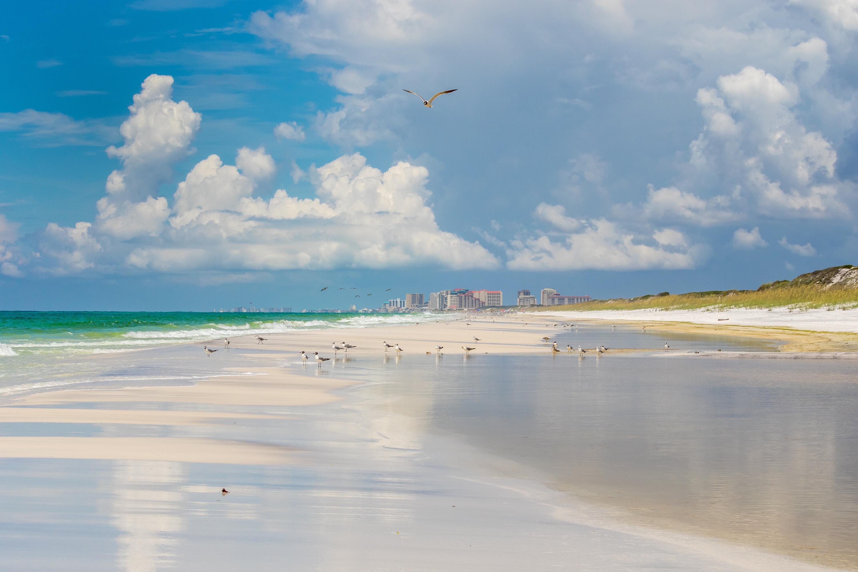 247 North Bishop Road Santa Rosa Beach, FL 32459 - Photo 29 of 52 Lake Stalworth