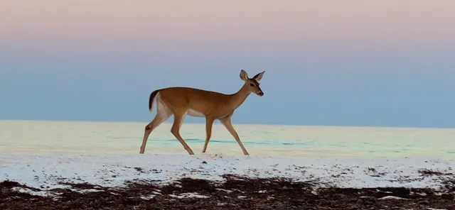 $1,000,000 | 247 North Bishop Road, Santa Rosa Beach, FL 32459