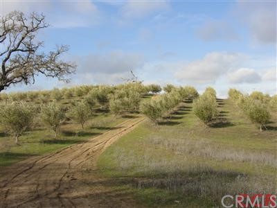 1551 Exline Road Paso Robles, CA 93446 - Photo 1 of 1 Gallery Image 1