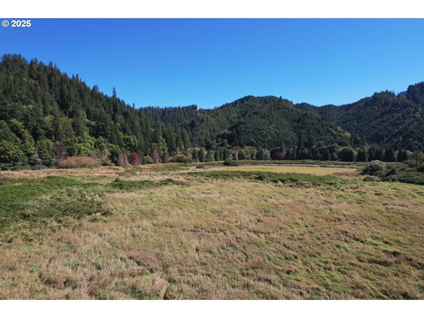 14443 Lower Smith River Road Reedsport, OR 97467 - Photo 12 of 14 Gallery Image 12