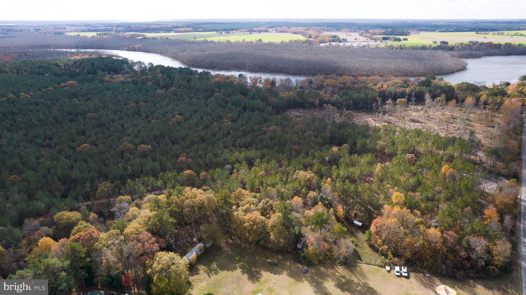 5417 Eldorado Sharptown Road Rhodesdale, MD 21659 - Photo 1 of 6