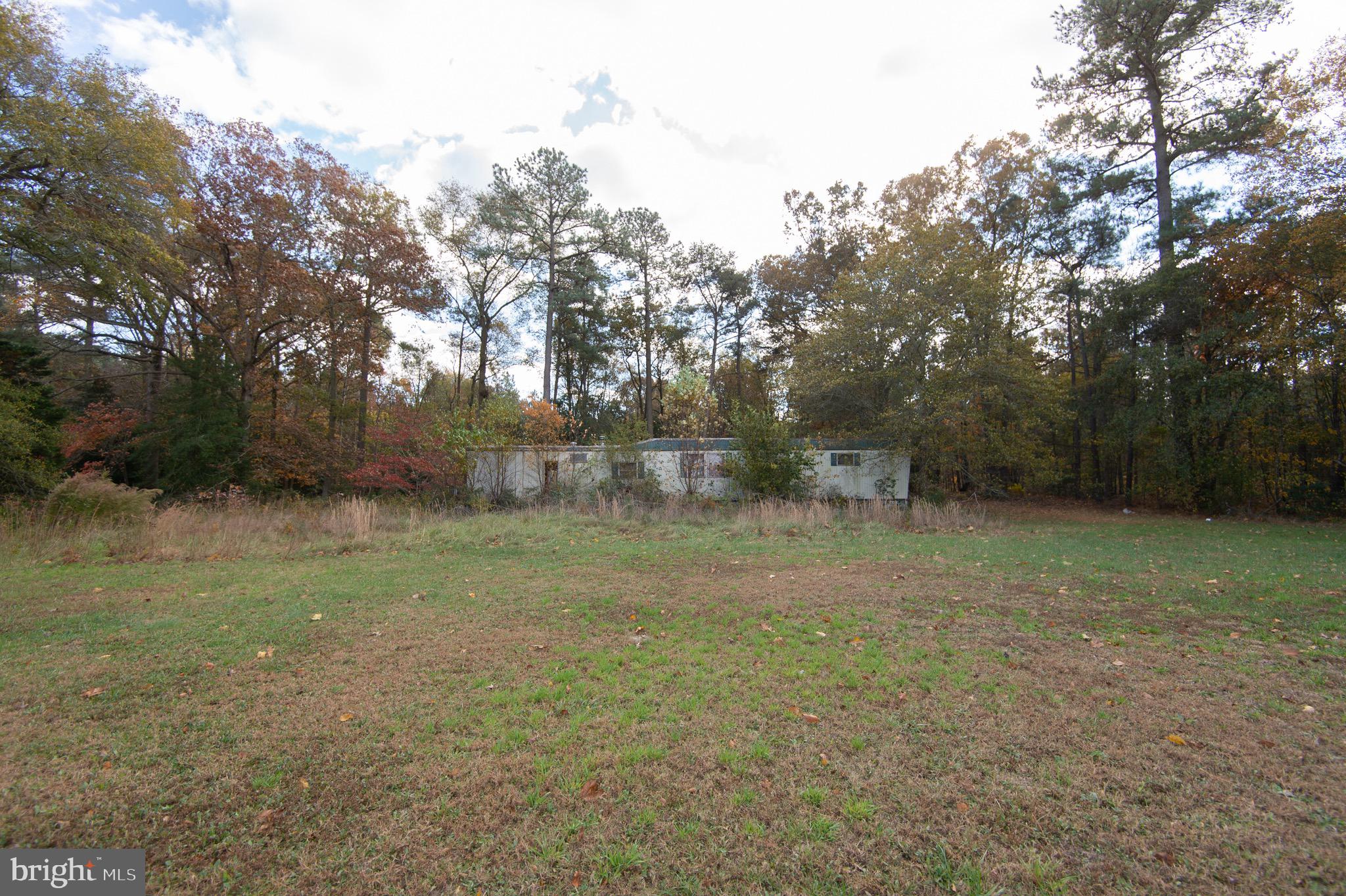 5417 Eldorado Sharptown Road Rhodesdale, MD 21659 - Photo 2 of 6