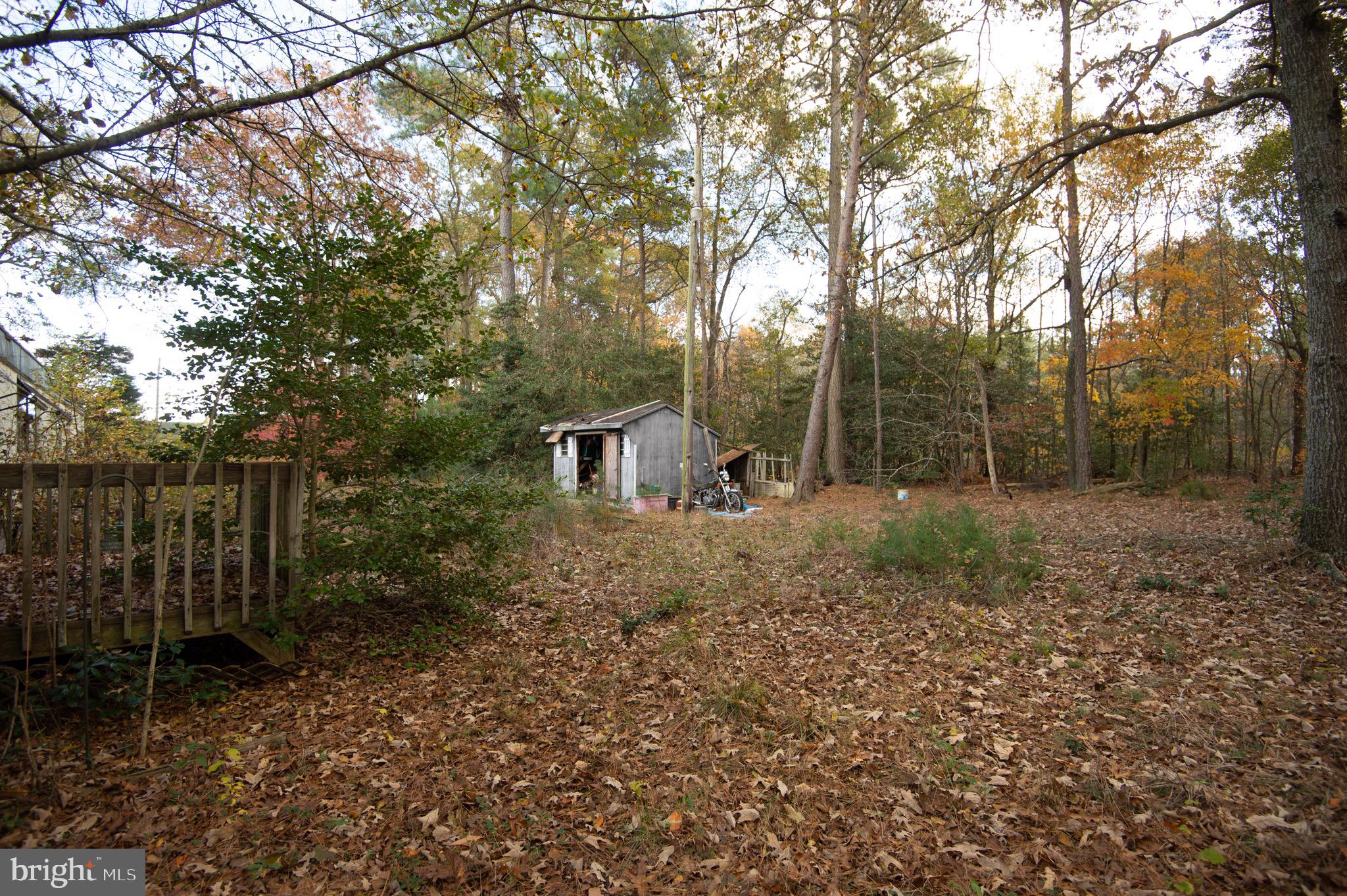 5417 Eldorado Sharptown Road Rhodesdale, MD 21659 - Photo 3 of 6