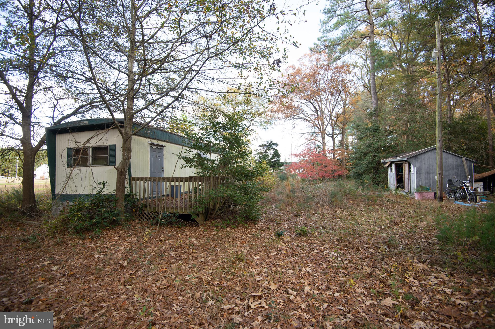 5417 Eldorado Sharptown Road Rhodesdale, MD 21659 - Photo 4 of 6