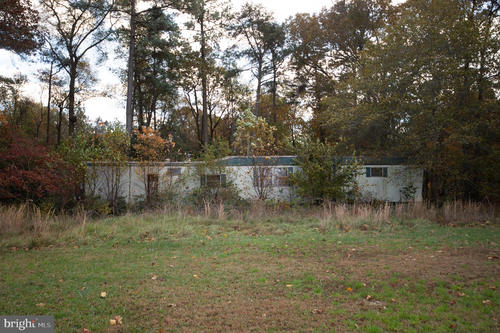 5417 Eldorado Sharptown Road Rhodesdale, MD 21659 - Photo 5 of 6