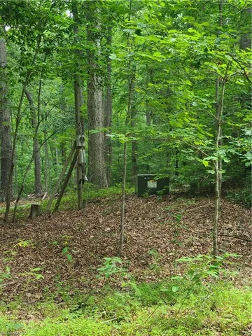 $439,000 | 450 Crossing Creek Drive, Belews Creek, NC 27009