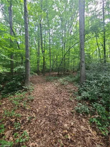 $439,000 | 450 Crossing Creek Drive, Belews Creek, NC 27009