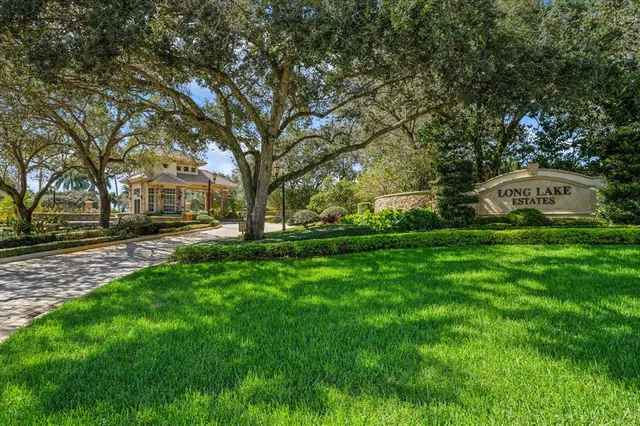 a view of a park with large trees