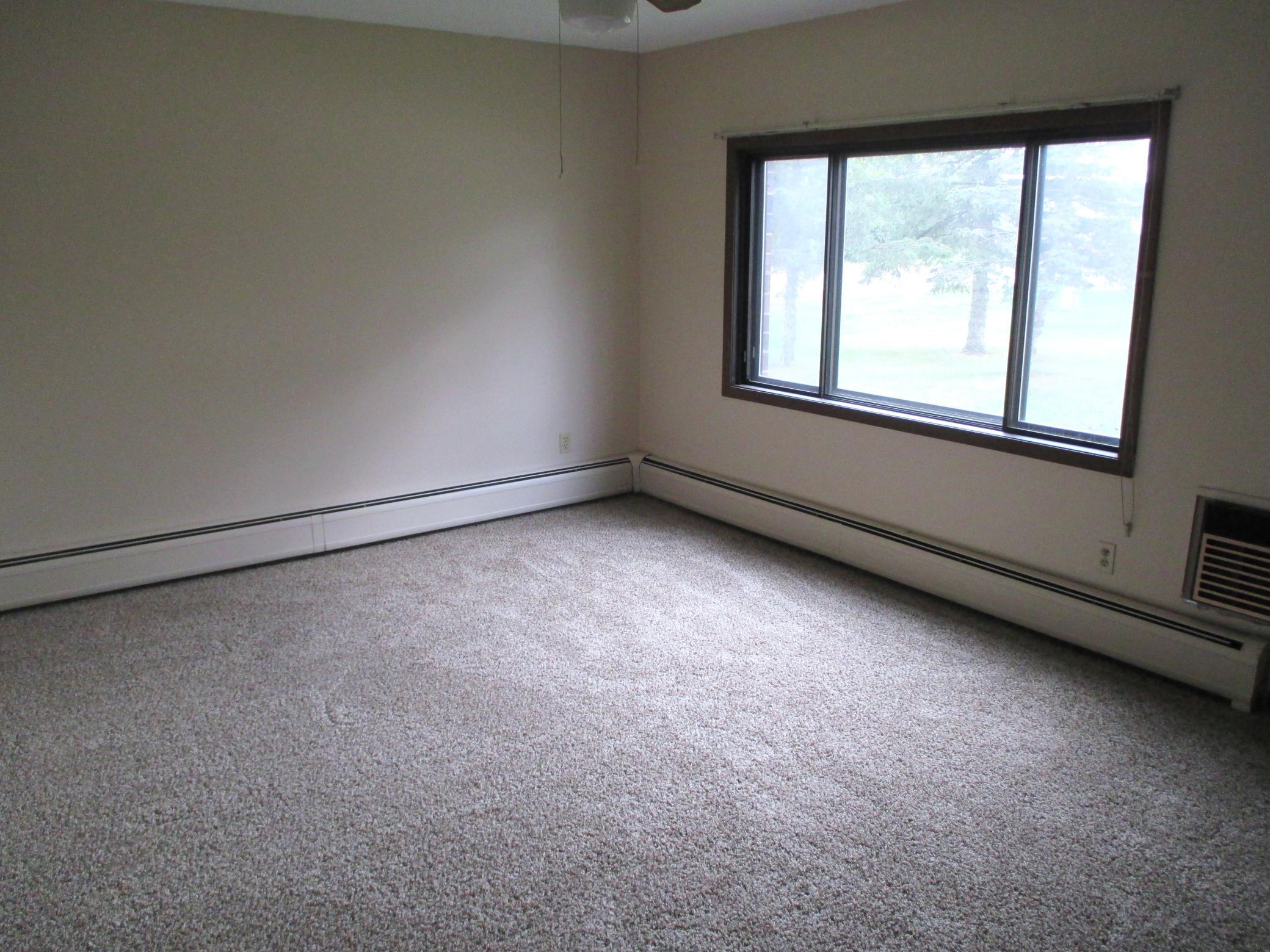 101 Thompson Street Verndale, MN 56481 - Photo 4 of 8