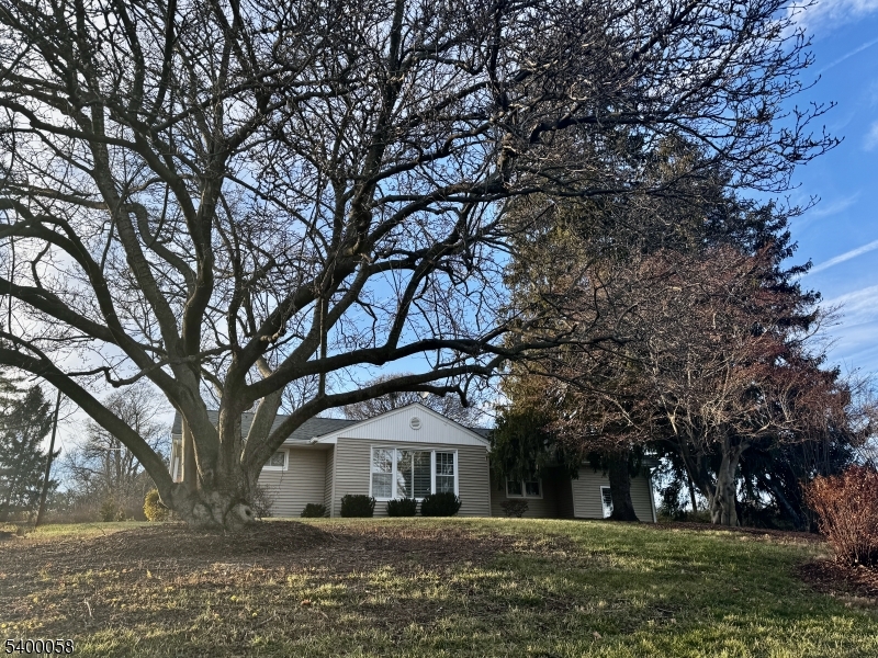 3 Fulper Place Clinton, NJ 08809 - Photo 40 of 49 front view of house with a trees