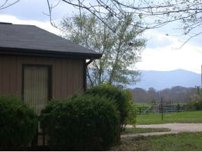 1950 Ripley Island Road, Unit 1 Afton, TN 37616 - Photo 5 of 5 Photo 5