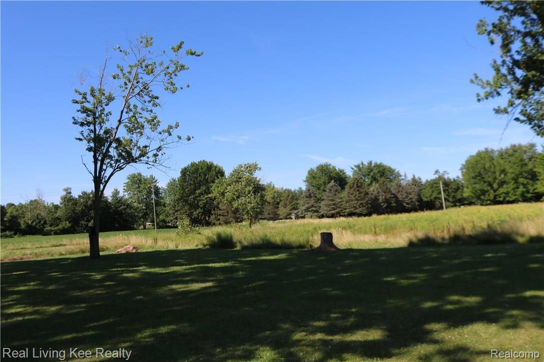 22001 McPhall Road Armada, MI 48005 - Photo 23 of 25 Land4.jpg