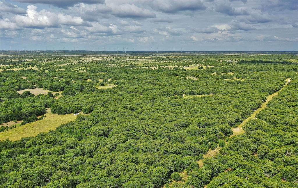 157-acres Nash Road Jacksboro, TX 76458 - Photo 19 of 40 Gallery Image 19