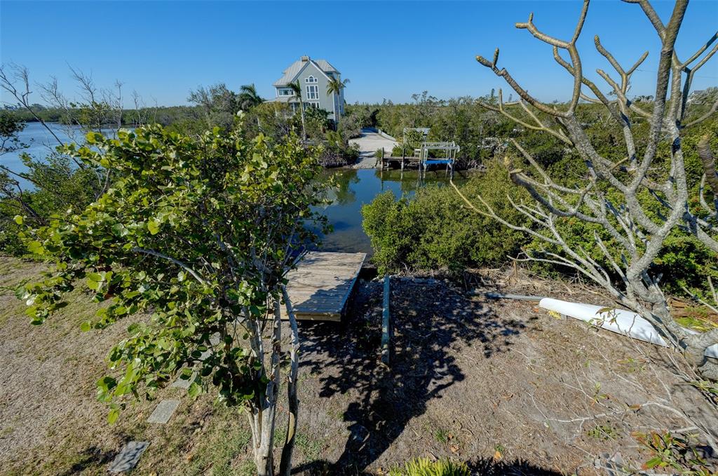 145 Burns Road Terra Ceia, FL 34250 - Photo 17 of 65 a view of a garden with plants and trees