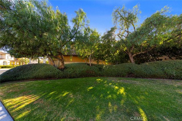 a view of a backyard with large trees