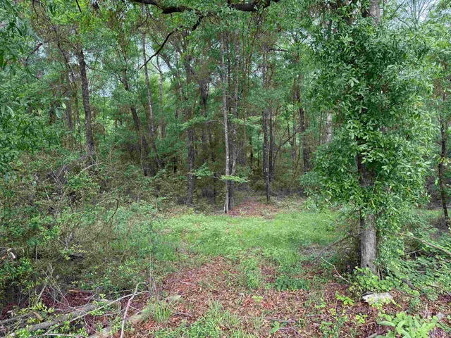 $196,800 | 0 Hwy 438 Franklinton La, Franklinton, LA 70438