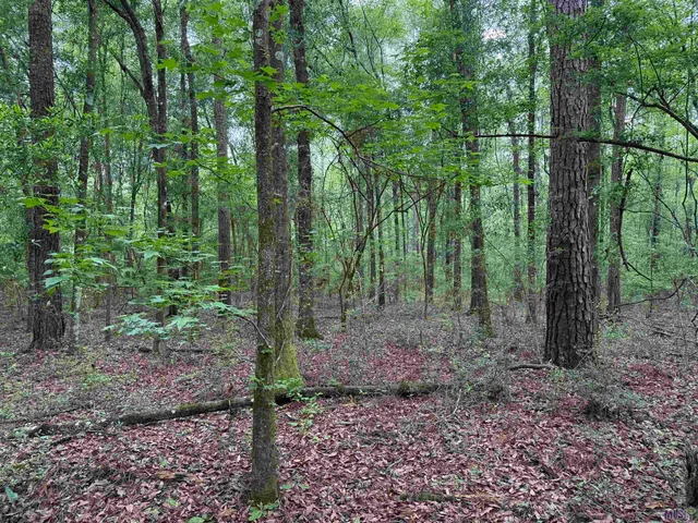 $196,800 | 0 Hwy 438 Franklinton La, Franklinton, LA 70438