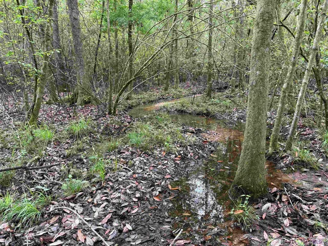 $196,800 | 0 Hwy 438 Franklinton La, Franklinton, LA 70438