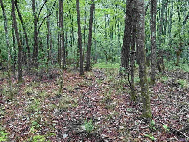 $196,800 | 0 Hwy 438 Franklinton La, Franklinton, LA 70438