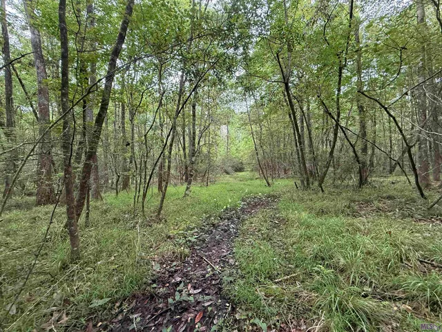 $196,800 | 0 Hwy 438 Franklinton La, Franklinton, LA 70438