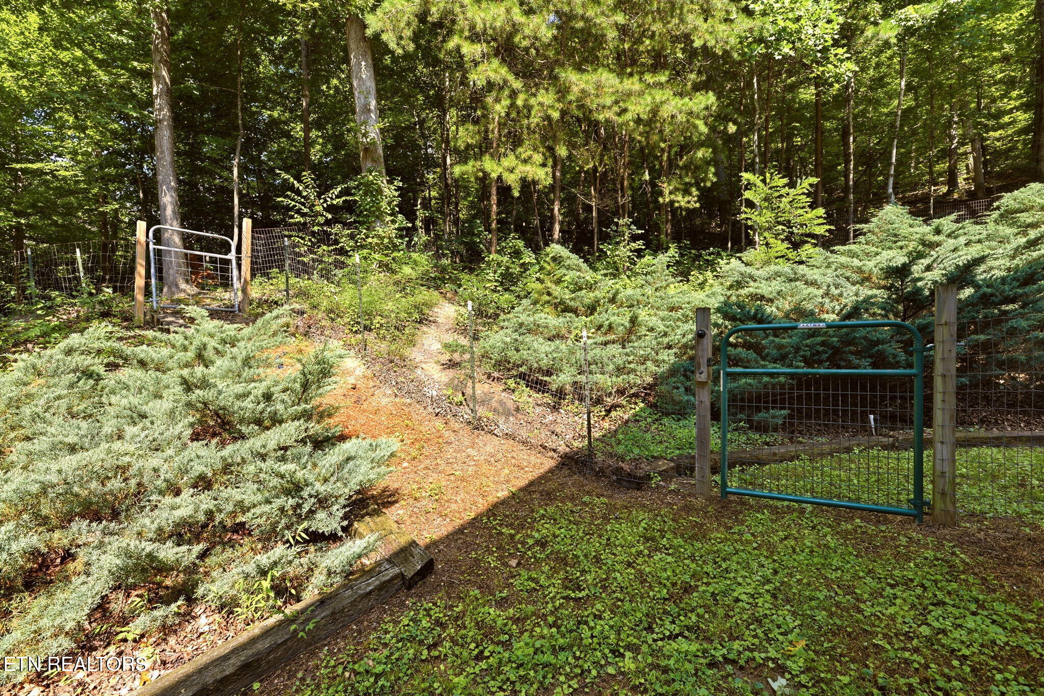 281 Lone Mountain Road Andersonville, TN 37705 - Photo 38 of 46 39-web-or-mls-DSC_5176