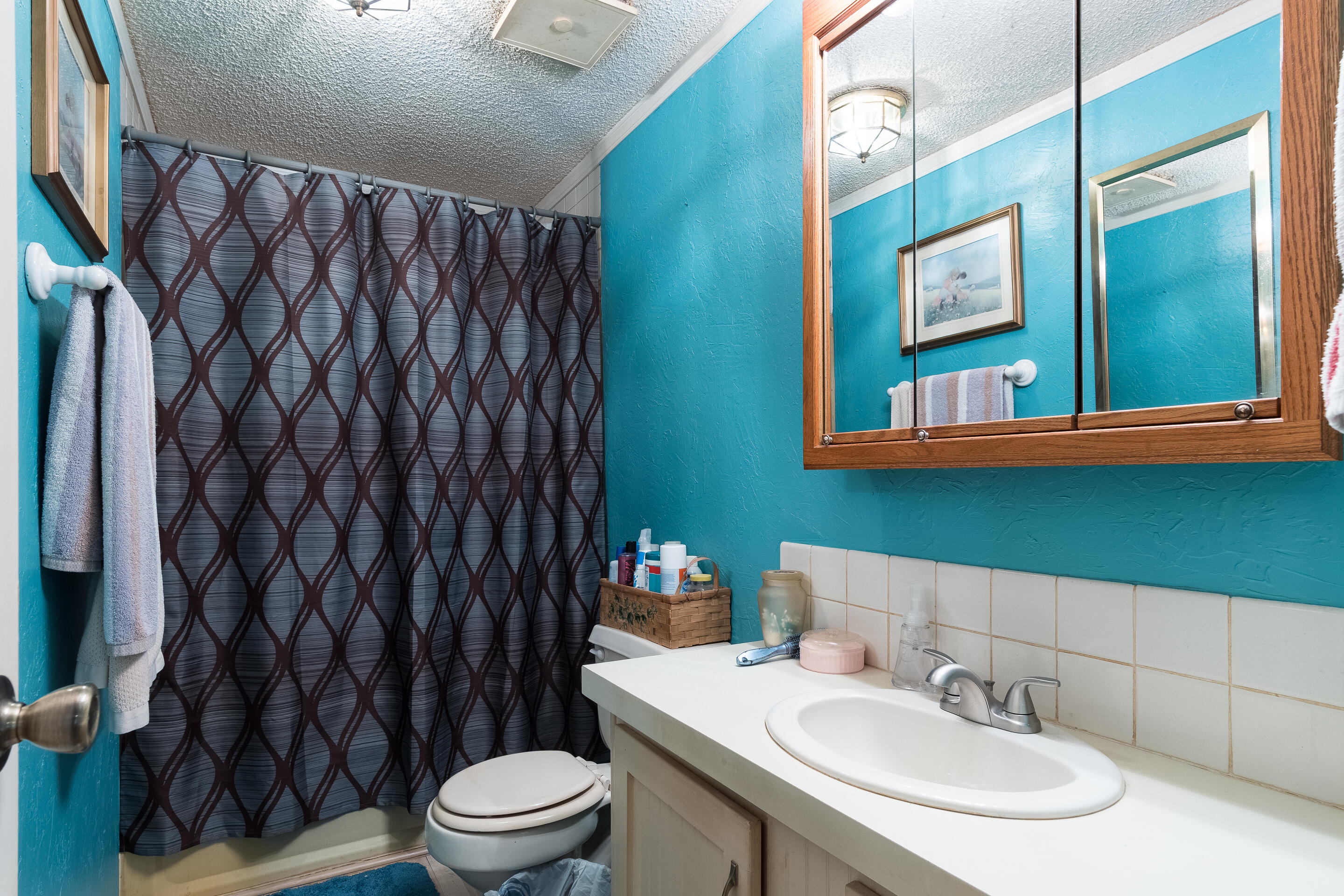 117 Beech Grove Road Telford, TN 37690 - Photo 37 of 40 interior-16