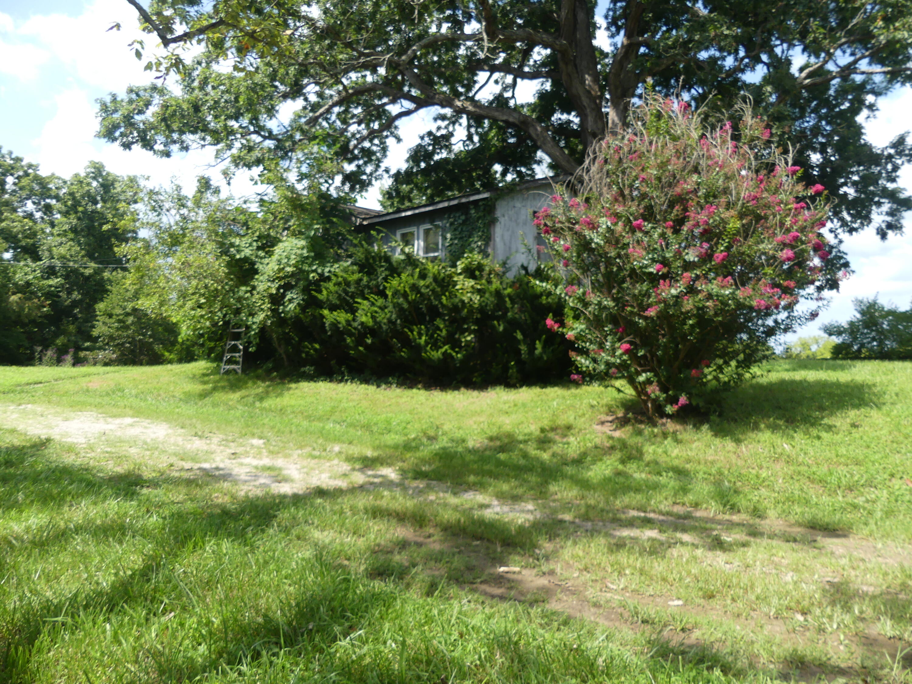 1040 Delaney Road Lawrenceburg, KY 40342 - Photo 33 of 55 P1020039