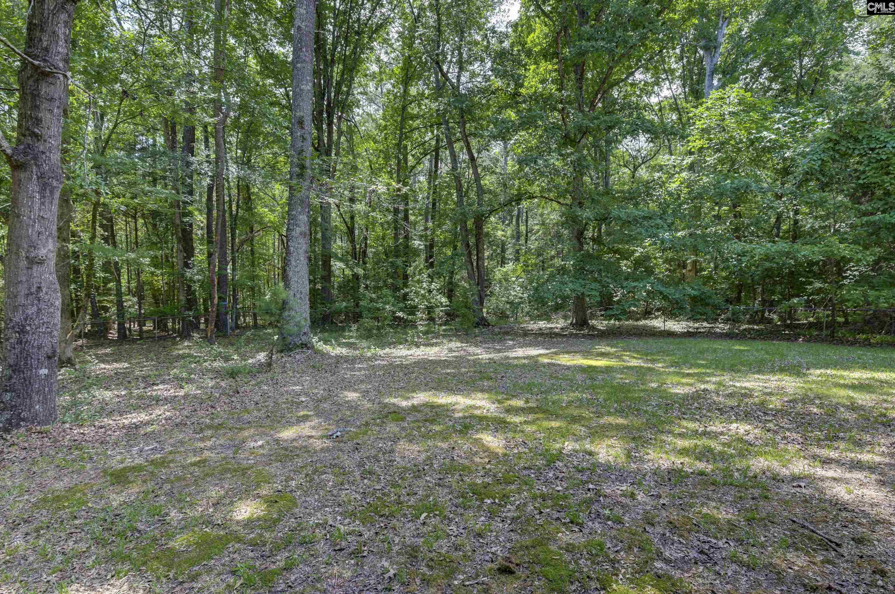 317 Horse Cove Road Gilbert, SC 29054 - Photo 29 of 86