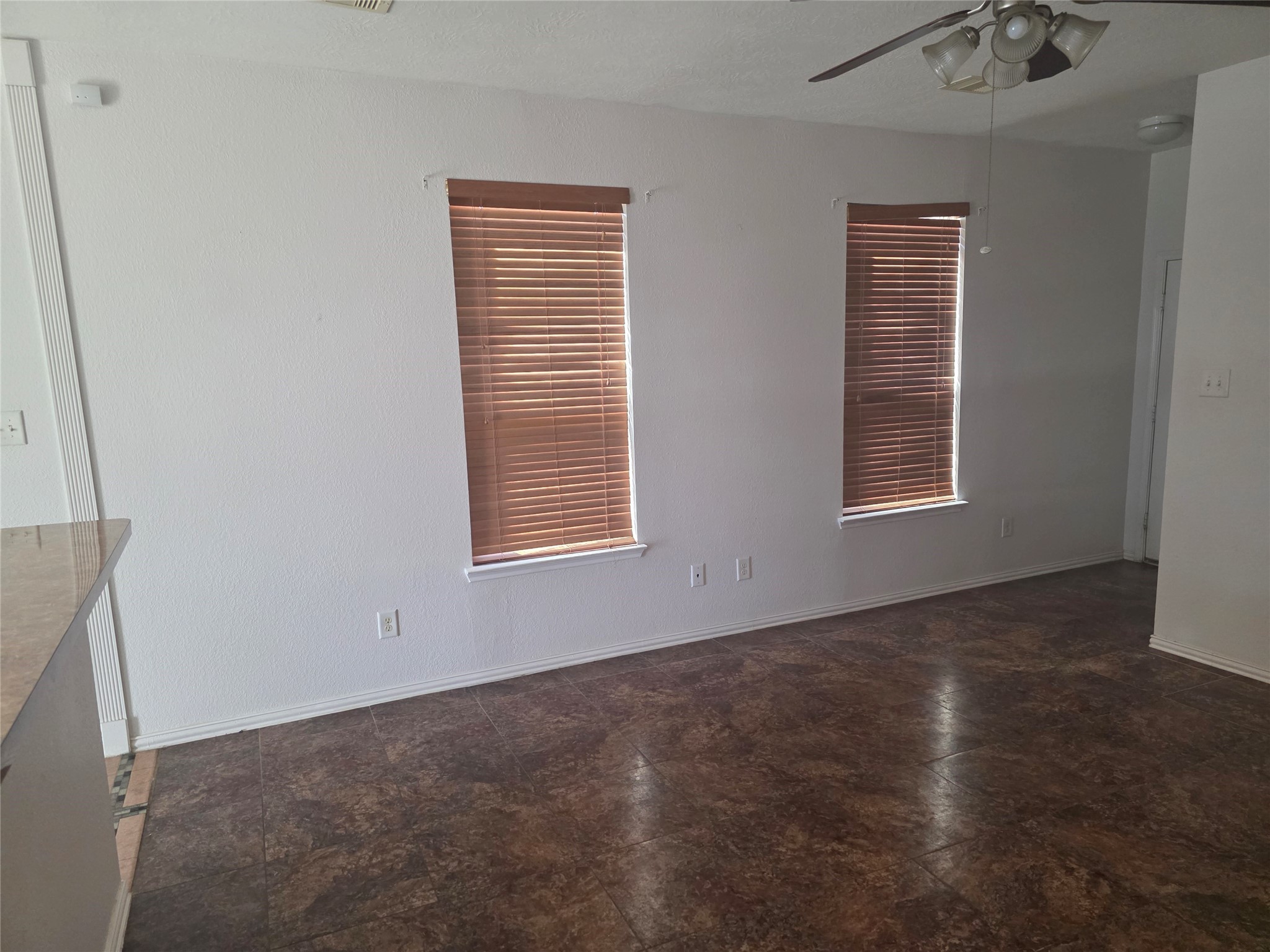 12062 Bach Orchard Trail Houston, TX 77038 - Photo 6 of 20 an empty room with windows