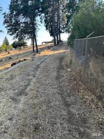 a view of a yard with a tree