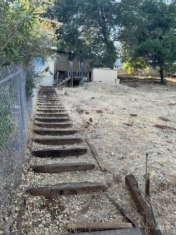 a view of a yard with trees