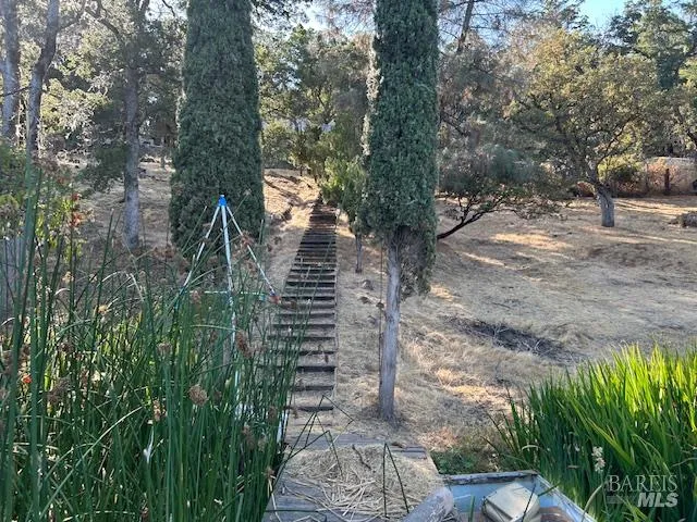 a view of dirt yard with a large tree